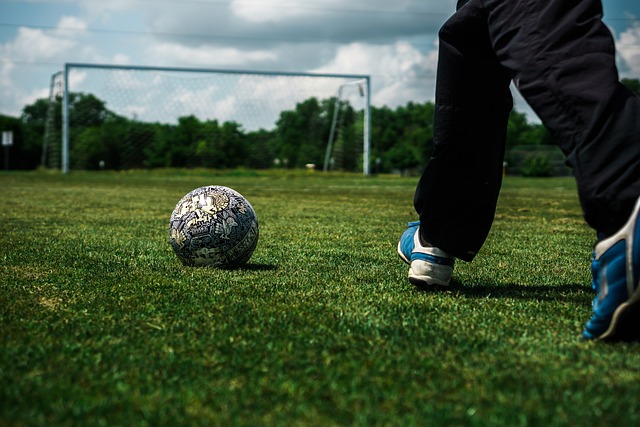 把一条条电 把一条条电