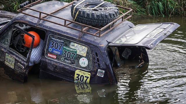 的故事和影 的故事和影