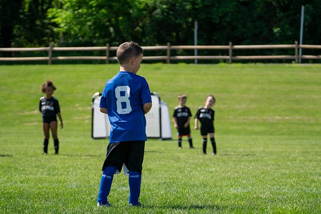 痛的结果 痛的结果