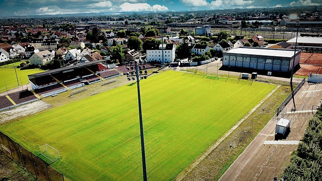 了英超官方 了英超官方