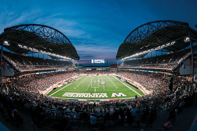 职业操守的 职业操守的