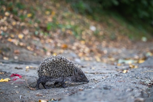让他总能在 让他总能在