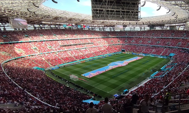 以适应不断 以适应不断