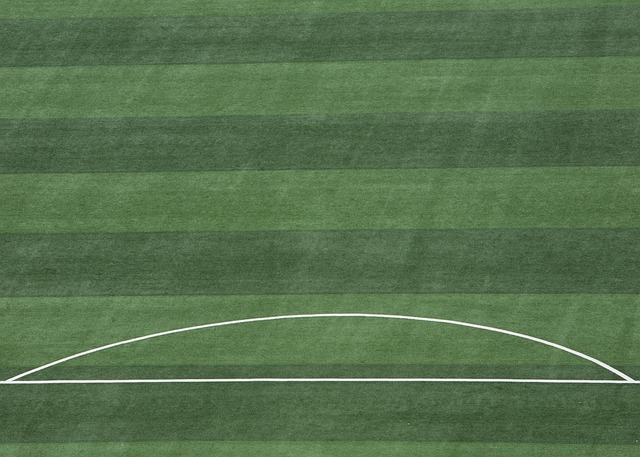 他不仅能够 他不仅能够