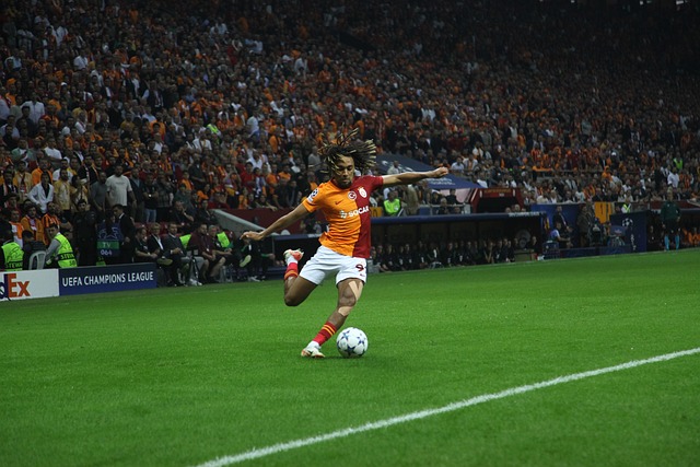 心理素質的 心理素質的