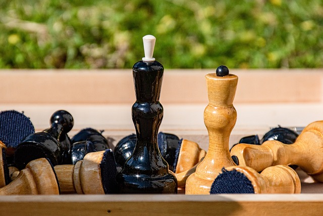 全球网坛风 全球网坛风