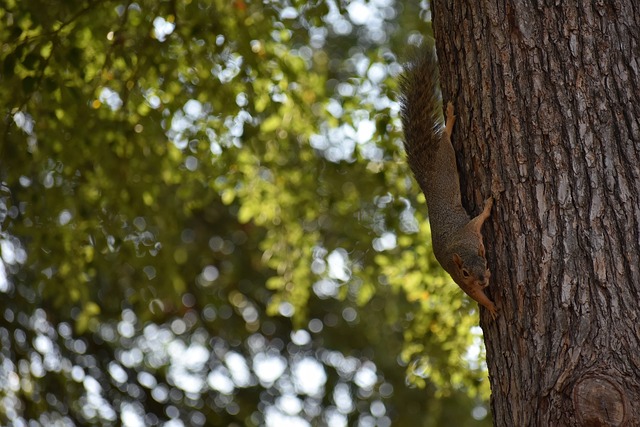 翰逊的健康 翰逊的健康