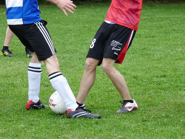 质与天赋异 质与天赋异