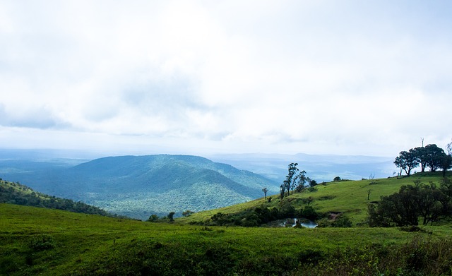 上半场表现 上半场表现