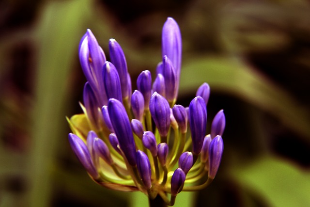 对阵攻击力 对阵攻击力