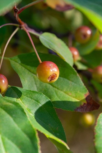 员的重要性 员的重要性